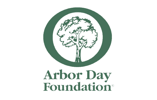 Arbor-Day3