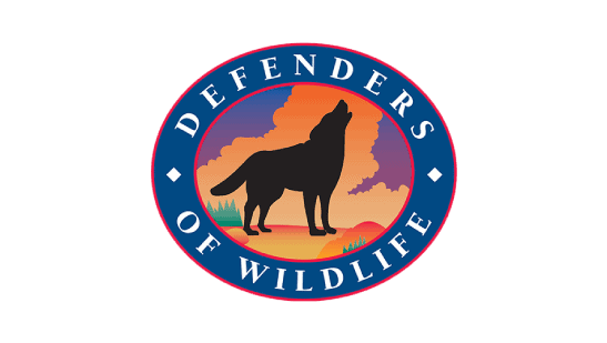 Defenders