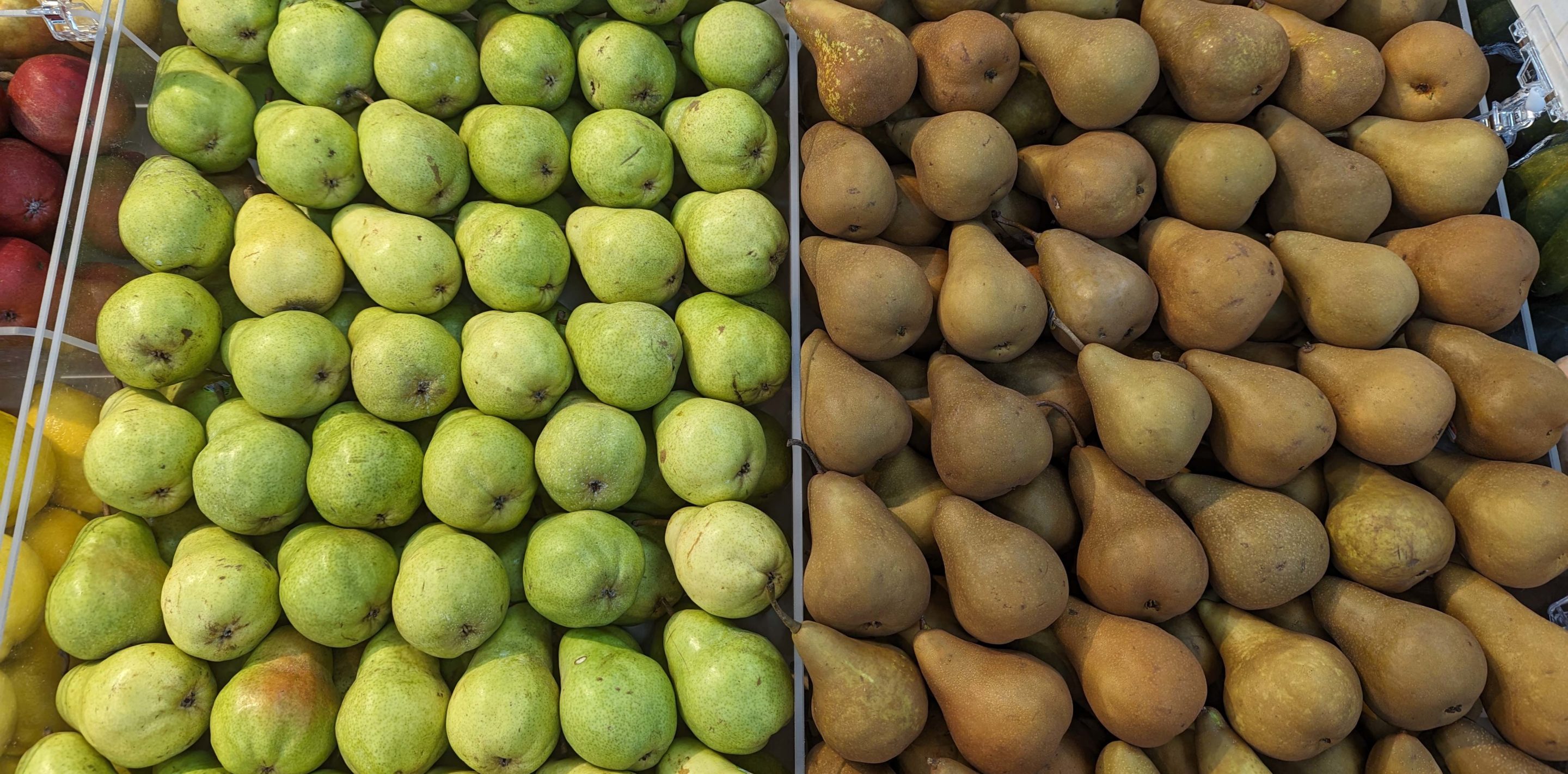 SS_Produce_PXL_20240920_122730607